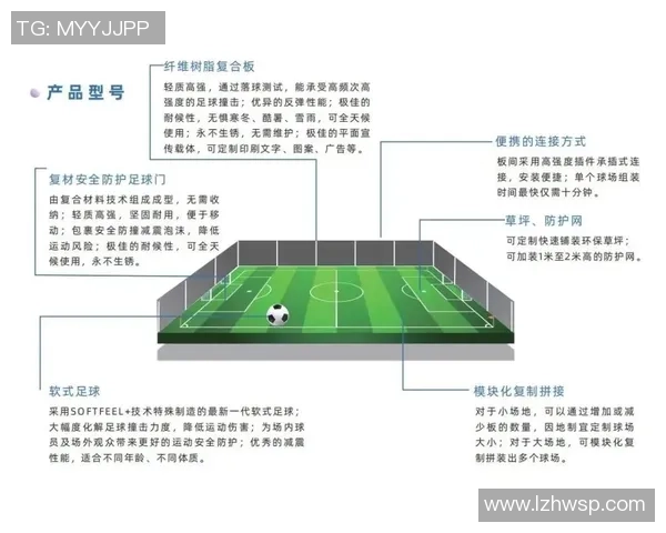全球自由足球排名分析及其对赛事发展的影响探讨
